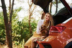 zit Aan de terug van de auto. vrouw met haar hond buitenshuis in de Woud hebben mooi zo tijd foto