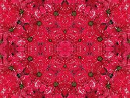 rood bloemen caleidoscoop achtergrond abstract uniek en symmetrisch patroon voor Kerstmis gevoel foto