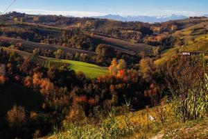 de kleuren van de langhe in herfst in serralunga alba, met de wijngaarden en heuvels dat zijn gekleurde met warm kleuren Leuk vinden de herfst seizoen foto