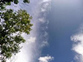 mooi visie Doorzichtig blauw lucht en veel van natuurlijk groen bomen foto