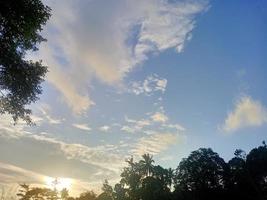 mooi visie Doorzichtig blauw lucht en veel van natuurlijk groen bomen foto