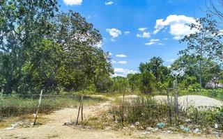 tropisch oerwoud Woud met weg door de dorp kantunilkin Mexico. foto