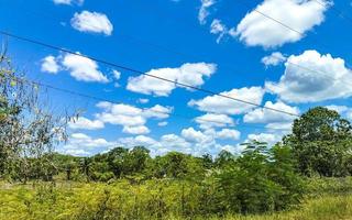 tropisch oerwoud Woud met weg door de dorp kantunilkin Mexico. foto