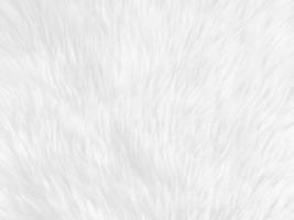 wit schoon wol structuur achtergrond. licht natuurlijk schapen wol. wit naadloos katoen. structuur van pluizig vacht voor ontwerpers. detailopname fragment wit wol tapijt. foto