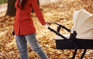 dichtbij omhoog visie. moeder in rood jas hebben een wandelen met haar kind in de kinderwagen in de park Bij herfst tijd foto