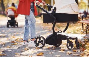 dichtbij omhoog visie. moeder in rood jas hebben een wandelen met haar kind in de kinderwagen in de park Bij herfst tijd foto