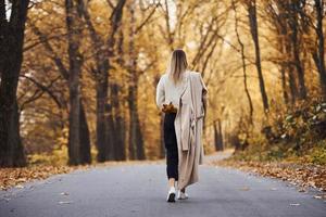 portret van jong brunette dat hebben een wandelen Aan weg in herfst Woud Bij dag foto