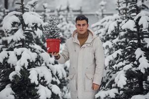 knap jong Mens in warm jas Holding rood pot met Spar boom buitenshuis Bij dag foto