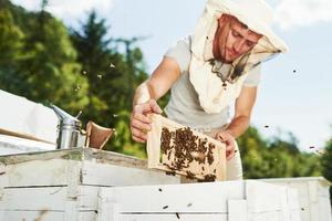 geconcentreerd Bij werk. imker werken met honingraat vol van bijen buitenshuis Bij zonnig dag foto