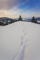 Karpatische winterbergen foto