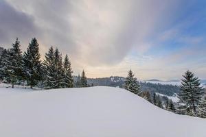 Karpatische winterbergen foto