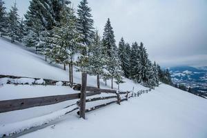 Karpatische winterbergen foto