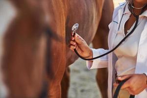 gebruik makend van stethoscoop. vrouw dierenarts onderzoeken paard buitenshuis Bij de boerderij Bij dag foto