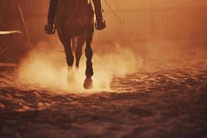 majestueus beeld van paard silhouet met rijder Aan zonsondergang achtergrond foto