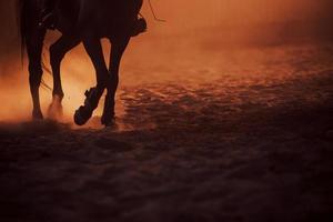 majestueus beeld van paard silhouet met rijder Aan zonsondergang achtergrond foto