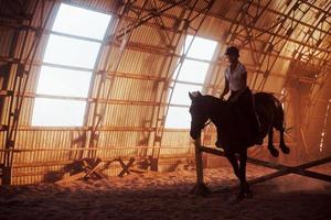 majestueus beeld van paard silhouet met rijder Aan zonsondergang achtergrond. de meisje jockey Aan de terug van een hengst ritten in een hangar Aan een boerderij foto