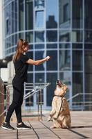 jong positief vrouw hebben pret en aan het doen trucs met haar hond wanneer hebben een wandelen buitenshuis in de buurt bedrijf gebouw foto