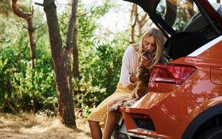 zit Aan de terug van de auto. vrouw met haar hond buitenshuis in de Woud hebben mooi zo tijd foto