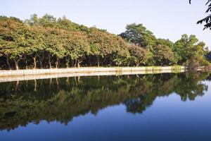 natuurlijk landschap visie reflectie van bomen in de meer water tegen blauw lucht foto