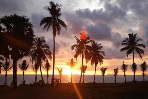reizen naar eiland koh lanta, Thailand. palmen boom Aan de achtergrond van de kleurrijk zonsondergang en bewolkt lucht. foto
