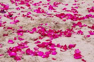 reizen naar krabi, Thailand. de bloemblaadjes van roze rozen Aan de zand strand. foto