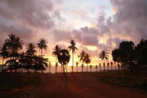 reizen naar eiland koh lanta, Thailand. palmen boom Aan de achtergrond van de kleurrijk zonsondergang, bewolkt lucht en een zee. foto