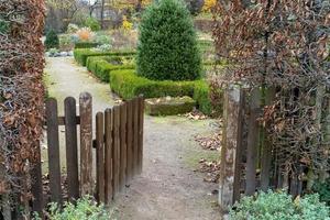 hek met houten poort in een tuin foto