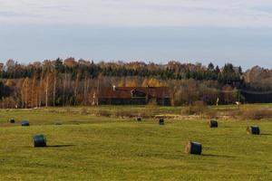 herfst landschap met geel bladeren Aan een zonnig dag foto