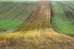 herfst landschap in een Moravisch velden foto