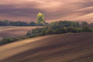 herfst landschap in een Moravisch velden foto