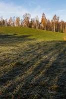 herfst landschap met geel bladeren Aan een zonnig dag foto