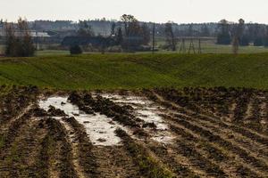 herfst landschap met geel bladeren Aan een zonnig dag foto