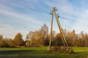 herfst landschap met geel bladeren Aan een zonnig dag foto