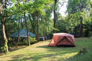 reizen naar doi suthep nationaal park, Chiang mei, Thailand. de visie Aan de berg camping met een prieel en tenten in een Woud. foto