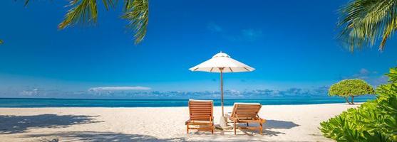 mooi tropisch strand spandoek. wit zand en kokosnoot palmen en strand stoelen net zo breed panorama achtergrond concept. verbazingwekkend strand landschap, romantisch tafereel voor paar of huwelijksreis reizen bestemmingen foto