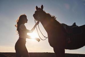 mooi zonneschijn. jong vrouw staand met haar paard in landbouw veld- Bij dag foto