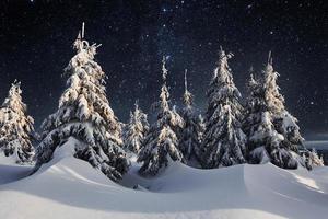 sterrenhemel lucht in winter besneeuwd nacht. majestueus landschap. hoffelijkheid van NASA foto