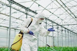 jong kas vrouw arbeider in vol wit beschermend uniform gieter planten binnen van broeikas foto