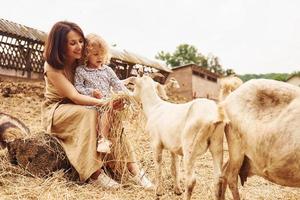 jong moeder met haar dochter is Aan de boerderij Bij zomertijd met geiten foto