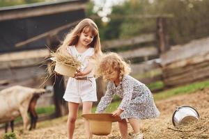 twee weinig meisjes samen Aan de boerderij Bij zomertijd hebben weekend met geiten foto