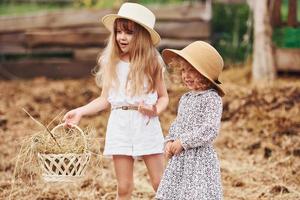 twee weinig meisjes samen Aan de boerderij Bij zomertijd hebben weekend foto