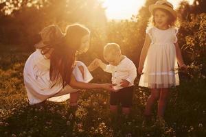 vrolijk familie van moeder, weinig zoon en dochter uitgeven vrij tijd Aan de veld- Bij zonnig dag tijd van zomer foto