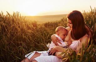 gelukkig moeder borstvoeding geeft haar zoon Aan de veld- Bij zonnig dag tijd van zomer foto