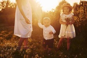 vrolijk familie van moeder, weinig zoon en dochter uitgeven vrij tijd Aan de veld- Bij zonnig dag tijd van zomer foto