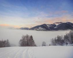 prachtig winterlandschap foto