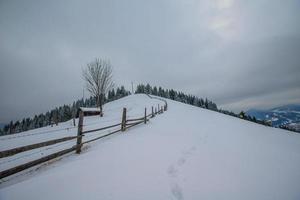 Karpatische winterbergen foto