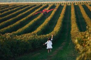actief weinig meisje in wit kleren rennen met rood vlieger Aan de veld- foto