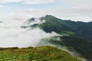 mist gedekt heuvels. majestueus Karpaten bergen. mooi landschap van onaangeroerd natuur foto