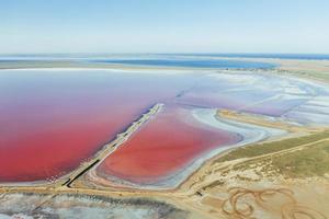 antenne visie van majestueus landschappen van jarilgach eiland in Oekraïne foto