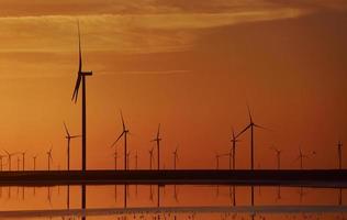 veel van windmolens Aan de jarilgach eiland, Oekraïne. zonsondergang tijd foto